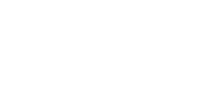 Logo DV-Beratung Koch
